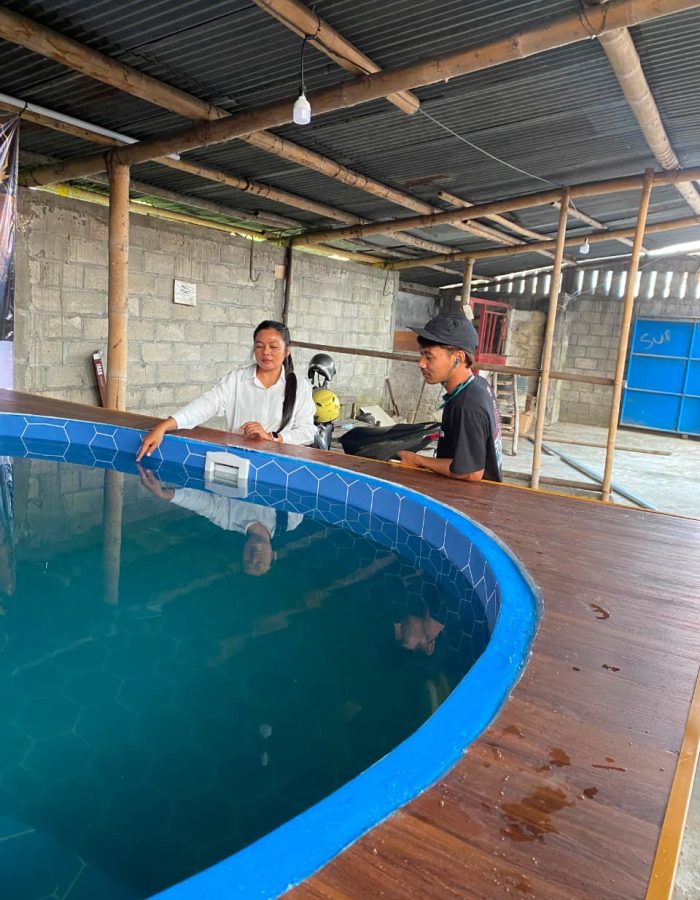 pool12